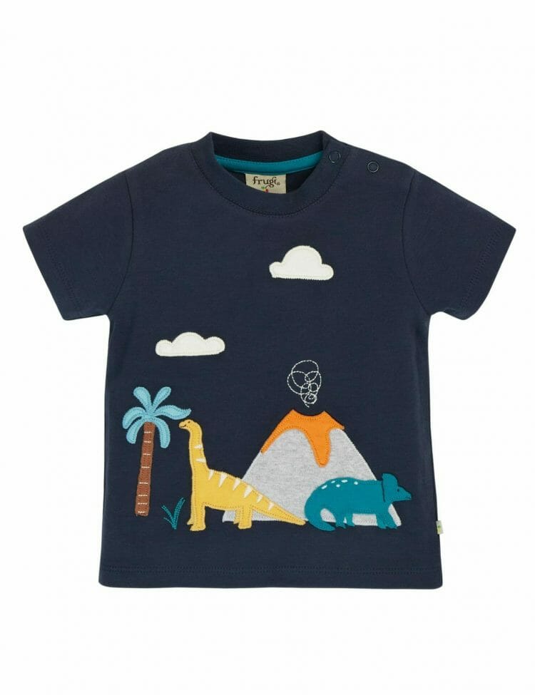 Navy Blue Boys T-shirt with a Dinos - Frugi
