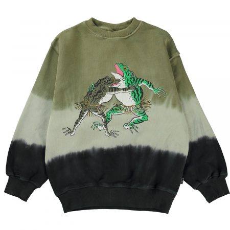 Zaļais varžu cīkstēšanās džemperis - MOLO