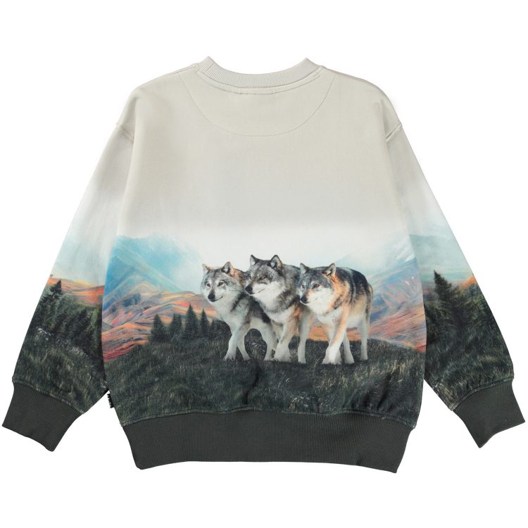 Grey boys sweatshirt with wolves - MOLO