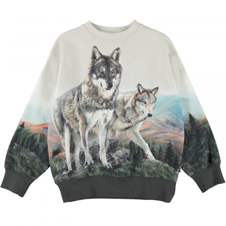 Pelēks zēnu džemperis ar vilkiem - MOLO