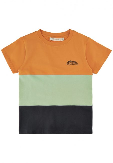Zēnu bloka krāsas Tārpiņu T-krekls - Soft Gallery