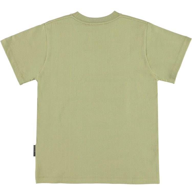 Boys` moss green T-shirt - MOLO