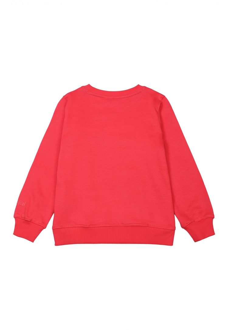 Lovely red sweatshirt with raspberry - The New