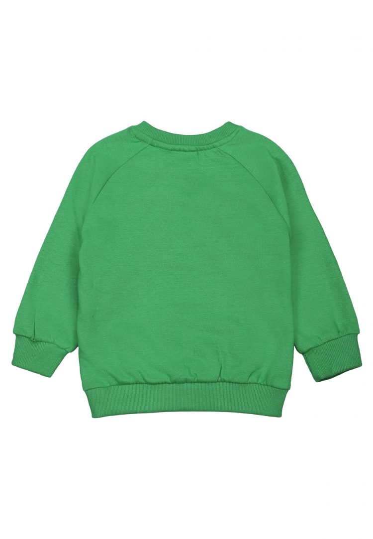 Baby sweatshirt with a frog - The New