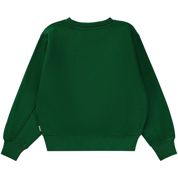 Green sweatshirt with Earth - MOLO