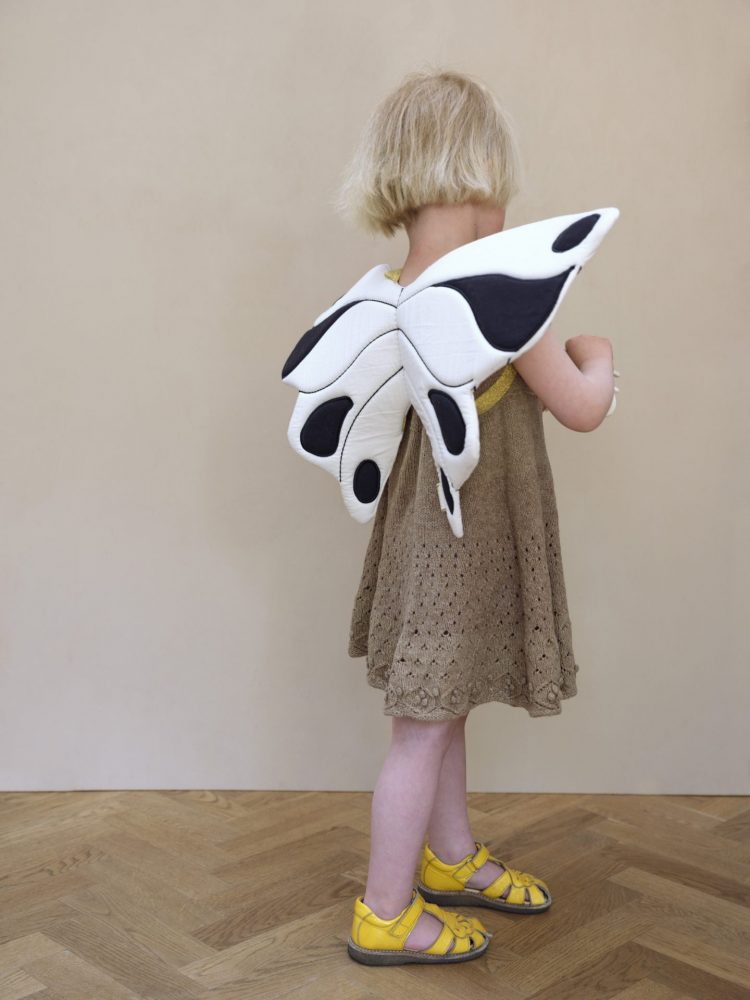 Natural Butterfly wings - Fabelab