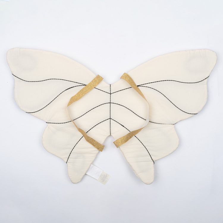 Natural Butterfly wings - Fabelab