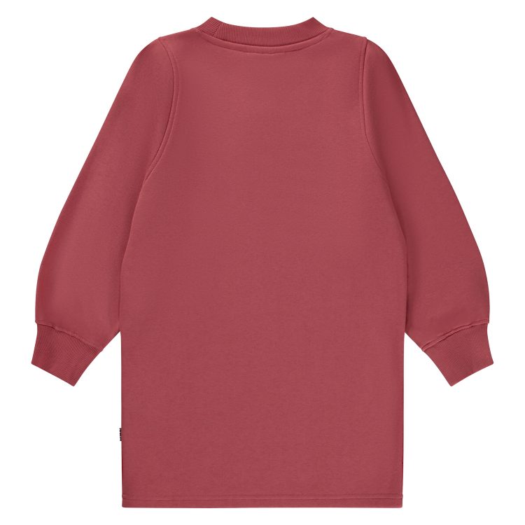 Rose sweatshirt dress for girls - MOLO